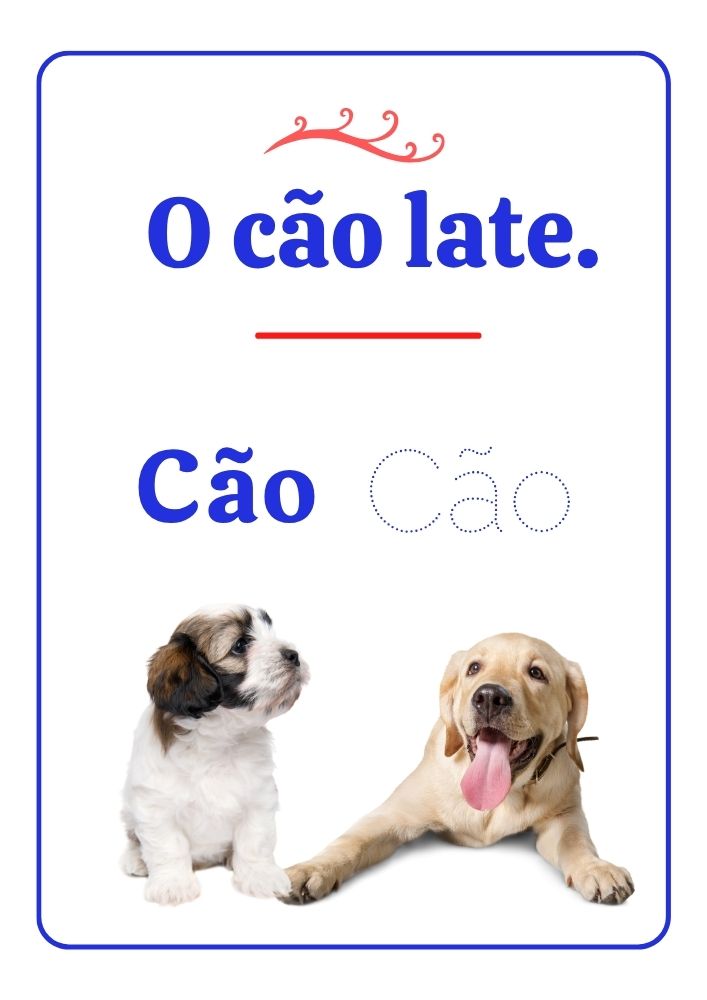 ABC dos animais thumbnail 4