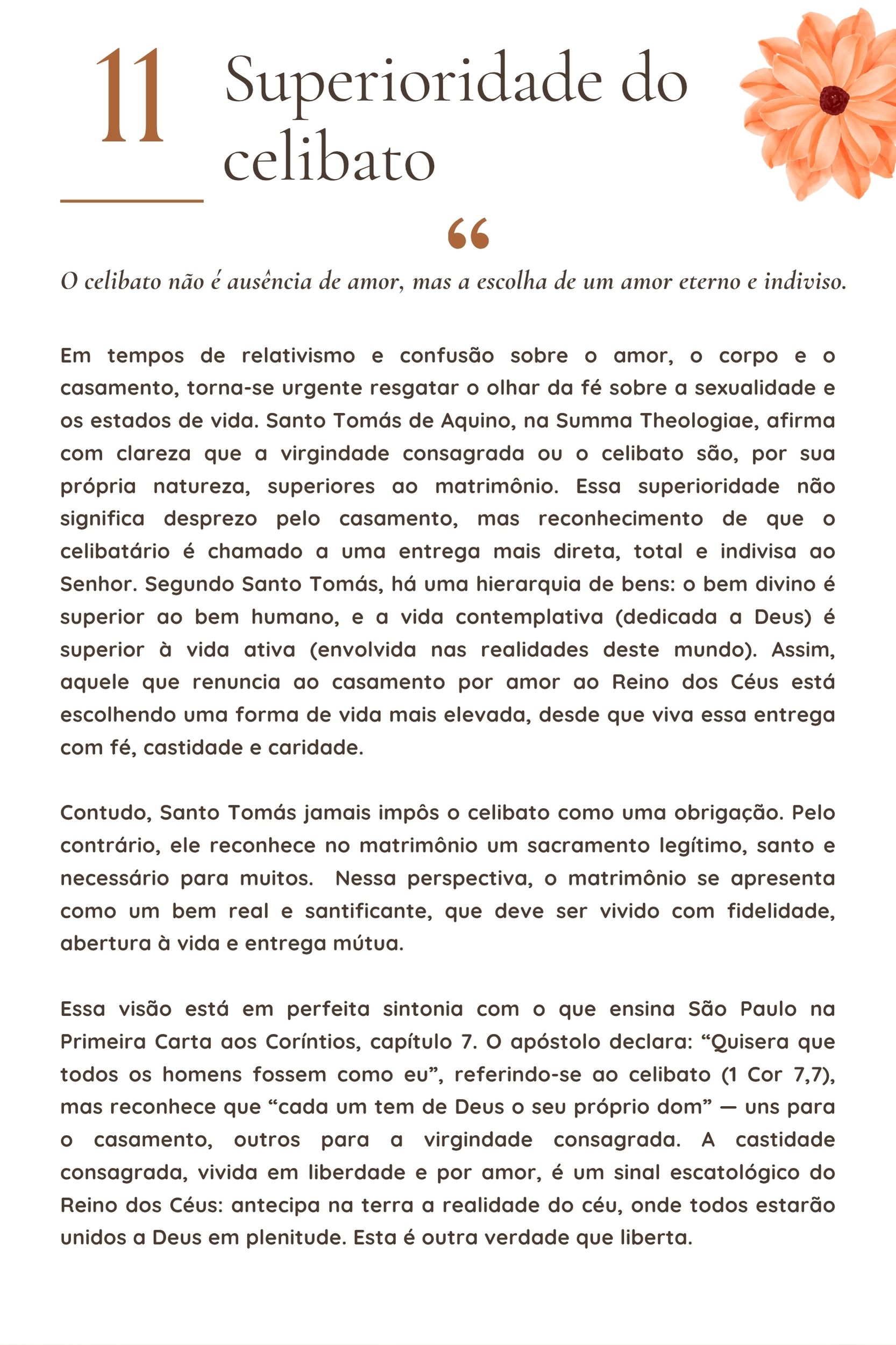 O Celibato e a Garota Católica thumbnail 4